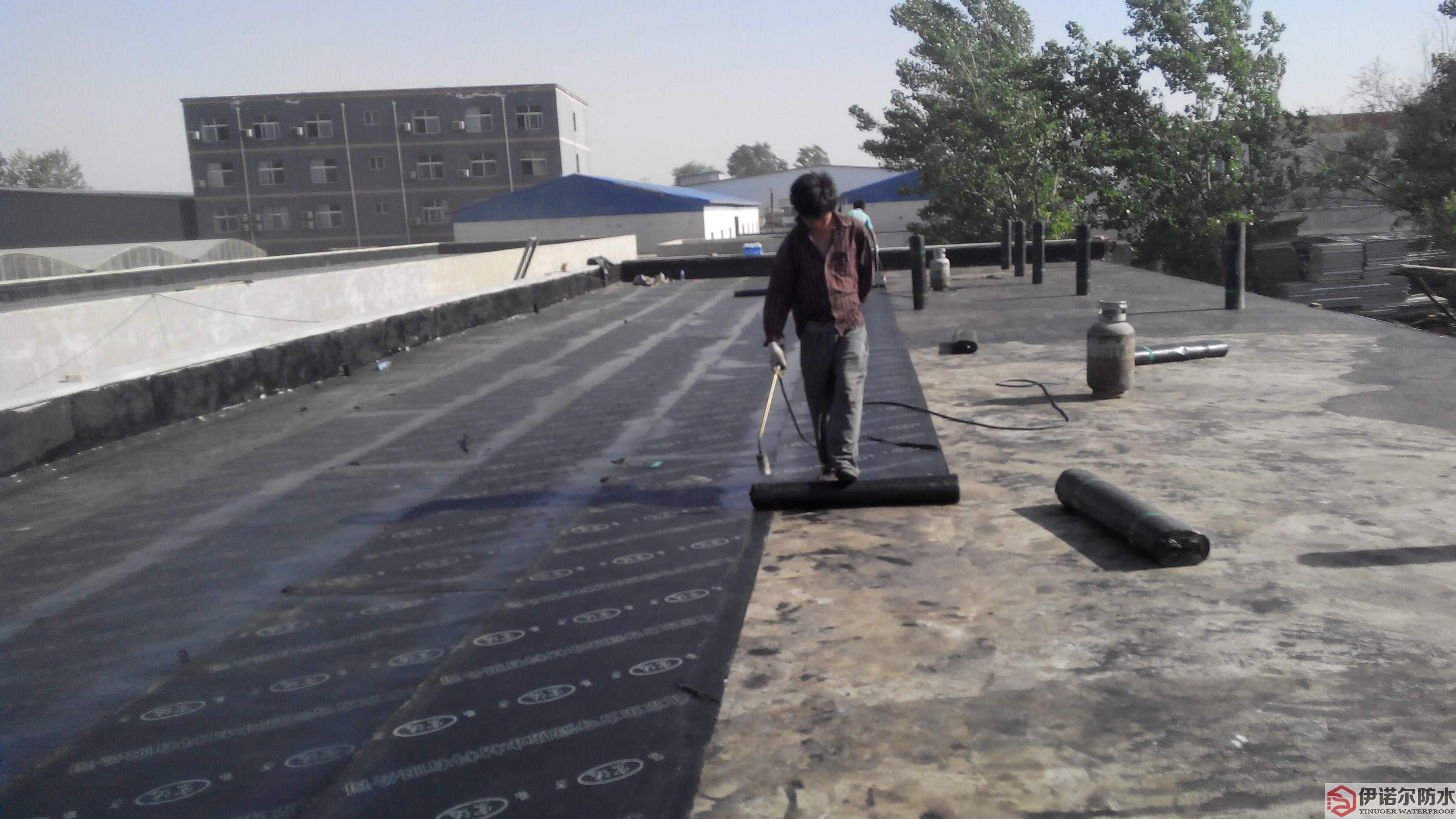 姑蘇樓頂防水補漏