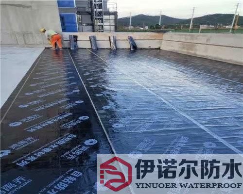 吳中蘇州屋面防水