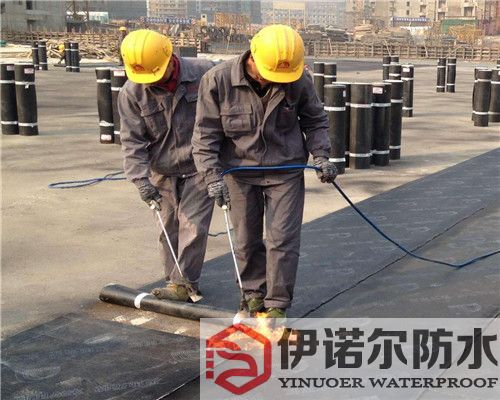 吳中廠房屋面補漏